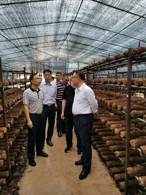 广西科技厅赴金秀调研民族区域科技工作