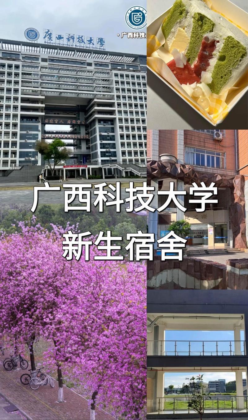 广西科技大学宿舍篇#大学宿舍#广西科技大学#公办本科推荐